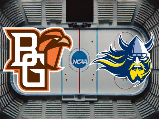 Bowling Green State Falcons at Augustana Vikings Mens Hockey